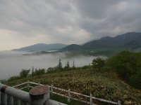 img (9)